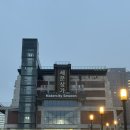 세운버스 | 빈티지 디지털 카메라 성지✨ 세운상가 OxO 카메라 구입 후기 (CASIO Exilim EX-Z370) +작례