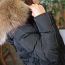 풍성한오리 이미지