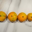 지운농장 이미지