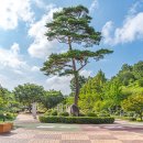 용두공원로3 이미지