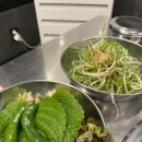 삼오세탁소 이미지