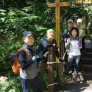 전남 장성 축령산 산행사진 3 이미지