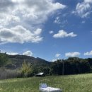 스테이 오힐 이미지