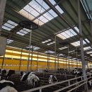 금산농장 이미지