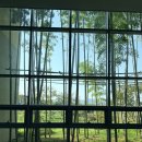 덕상로(즐거운길) 이미지