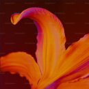 소소한향기 이미지