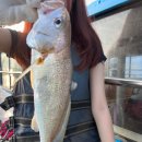 킹콩낚시 이미지