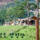 제원면오토캠핑장 이미지