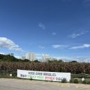 외옹치 해수욕장 | [강원도 속초] 아이와 함께한 ‘외옹치해수욕장’ 이용 후기