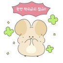 감포비치하우스 이미지