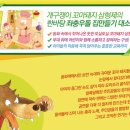 형제레져샵 이미지
