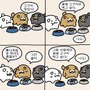 순진한 강아지 이미지