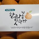 한라봉 잇수다 이미지