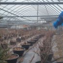 큰골농장 이미지