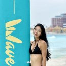 DATABASE ① 기초 입문 | 웨이브파크 이용후기 국내에서 서핑 강습 즐기기 가장 좋은 곳, 워터파크 수영장