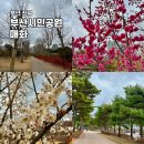 부산시민공원방문자센터지하2층 | 부산 가볼만한곳 시민공원 매화 실시간 미로정원 동백 봄 산책 명소