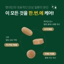 메타플러스
