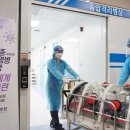 명지 헬스조선