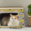 해봄동물병원 이미지