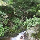 옥녀탕유원지 이미지