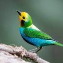 롯데크로바어린이집 이미지