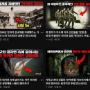 세계사 | 유튜버 기묘한밤 출간도서, 기묘한 세계사의 미스터리 후기