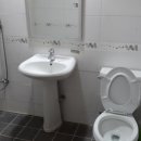 국립유명산자연휴양림 이미지