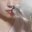 월드컵북로 15 시디즈 홍대점 앞 | [일상] 사랑니를 뽑았답니다 (사랑이아프니 홍대점 후기)