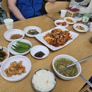 태백식당 - 세종특별자치시 | 태백 현지인 맛집 구문소식당 후기! 집밥 같은 오징어볶음이 정말 맛있었던 점심