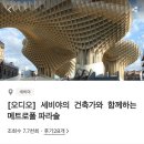 [투어라이브 크루9기] 메트로폴 파라솔 관람 후기ㅣ예약 및 입장료, 버스킹, 근처 맛집