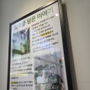 장기동주민센터 | [김포 맛집] 아이와 가기 좋은 프라이빗 룸 식당, 제면실이 있는 '담구리 샤브칼국수'