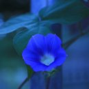 닥터에이지이 이미지