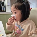 알레르기 | 콧물 코막힘 약 고민 환절기 유아 알레르기 비염 후기