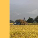 (주)에코맘의 산골이유식 농업회사법인
