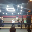 중독된복싱체육관 이미지