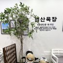 중티목장 이미지