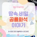 상상누리미술학원