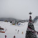 웰리힐리 스키장 이미지