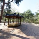 솔향수목원(솔숲광장) 이미지