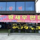 교동갯벌숯불구이왕새우