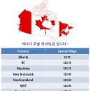 로이드배관용접학원
