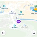 에버스노우 | 에버랜드 스노우버스터 눈썰매 이용후기(키제한/위치/운영시간)