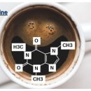 위짐(둔산점) 이미지