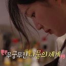 경동나물