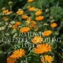 유토피아가족호텔 이미지