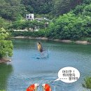 붕어야 이미지
