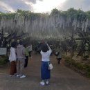 공원플라워 이미지