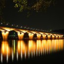 팔달대교 야경 이미지