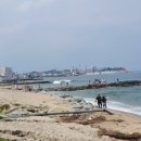 커피인(coffeein) 이미지