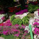 중산신도시공인중개사사무소 이미지